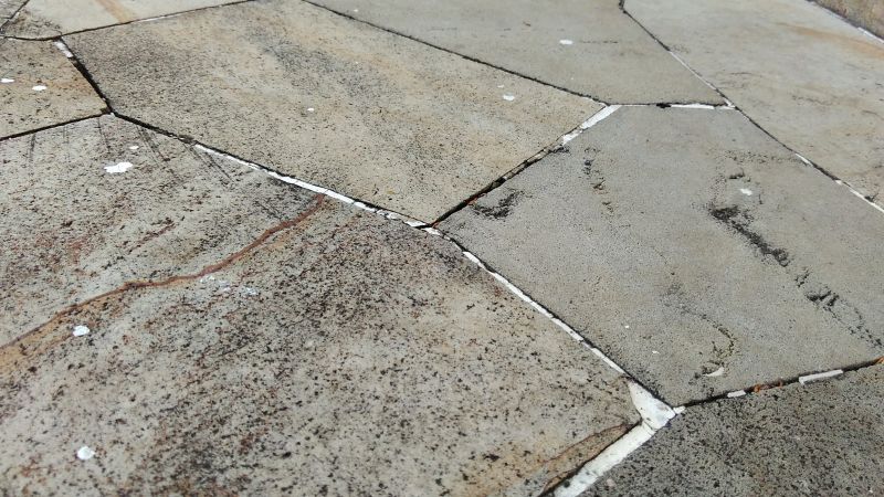 Commercial Stone Care Providers